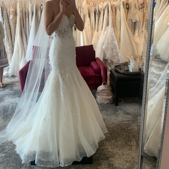 Pronovias Diosa Wedding Dress, Bridal size 10 (about Women's regular size 8) - Picture 8 of 8